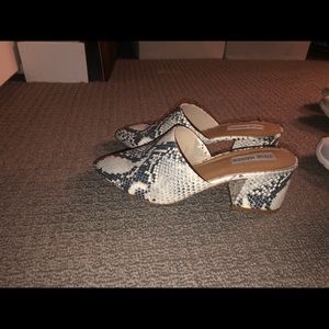steve madden snakeskin mule